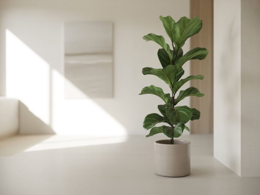 nowoczesny kocioł pelletowyfireplaceuniverse